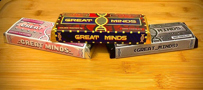 Great Minds Mushroom Chocolate Bars